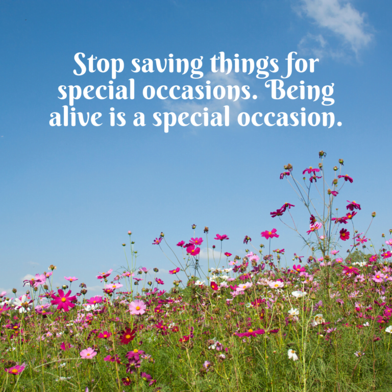Read more about the article Stop saving things for special occasions. Being alive is a special occasion.