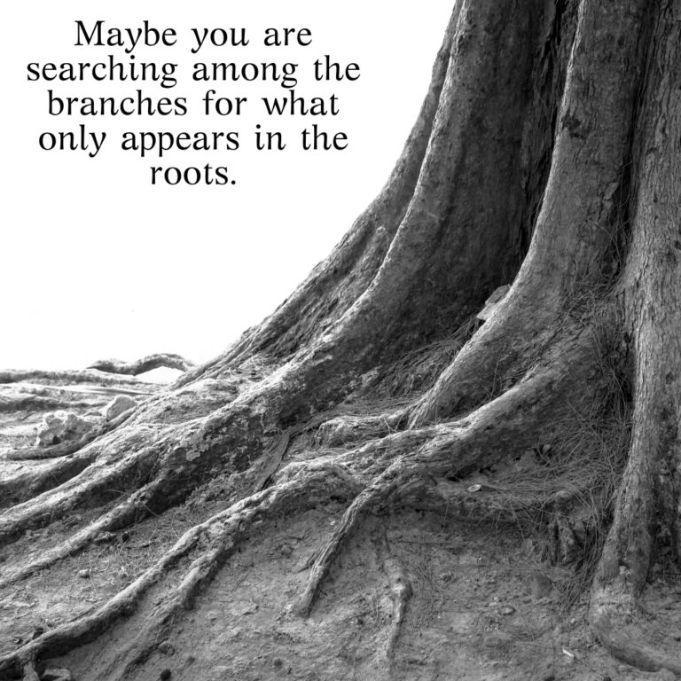 Read more about the article Maybe you are searching among the branches for what only appears in the roots.
