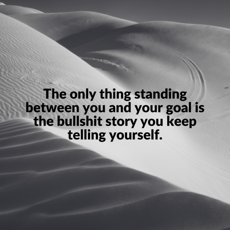 Read more about the article The only thing standing between you and your goal is the bullshit story you keep telling yourself.