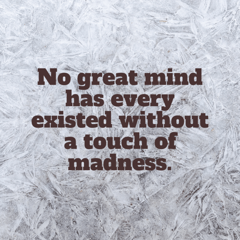 Read more about the article No great mind has ever existed without a touch of madness.