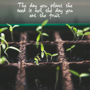 Read more about the article The day you plant the seed is not the day you eat the fruit.