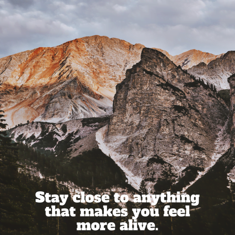 Read more about the article Stay close to anything that makes you feel more alive.