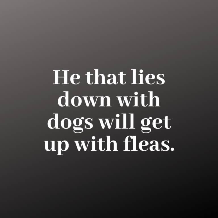 Read more about the article He that lies down with dogs will get up with fleas.