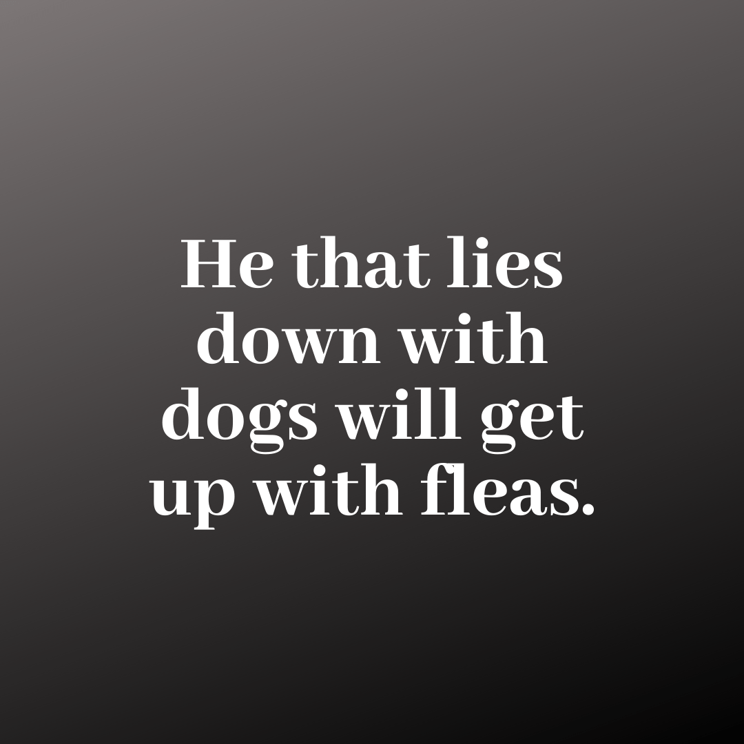You are currently viewing He that lies down with dogs will get up with fleas.