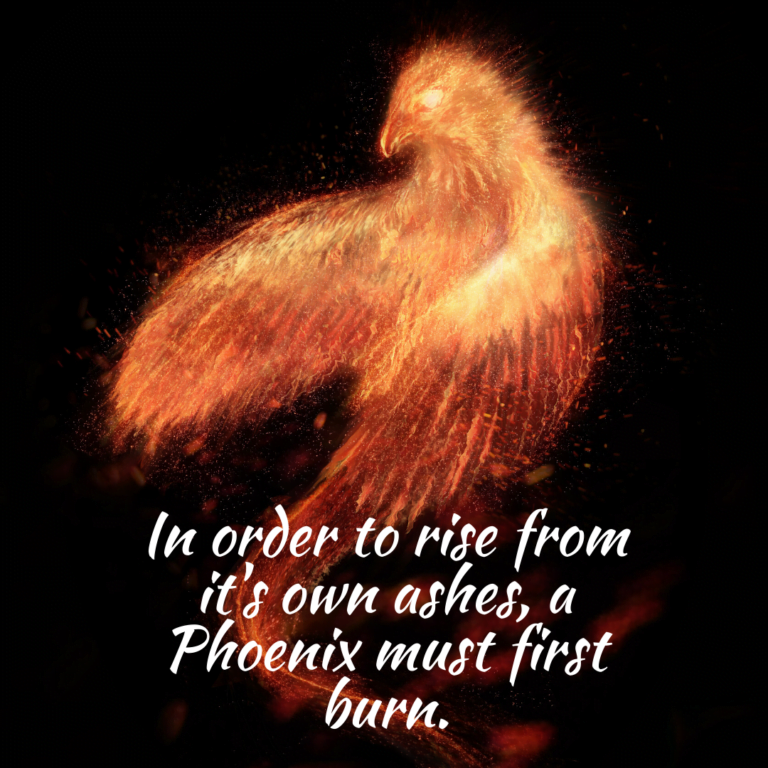 Read more about the article In order to rise from its own ashes, a phoenix must first burn.