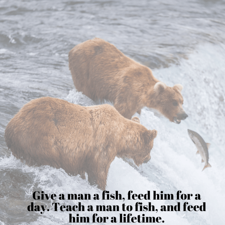 Read more about the article Give a man a fish, you feed him for a day. Teach a man to fish and feed him for a lifetime.
