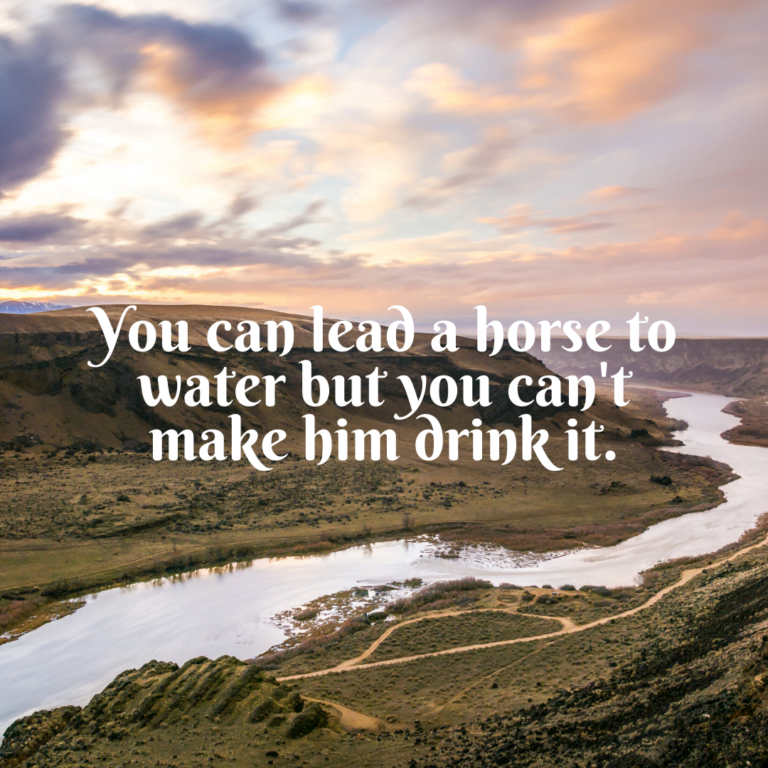 Read more about the article You can lead a horse to water, but you can’t make him drink it.