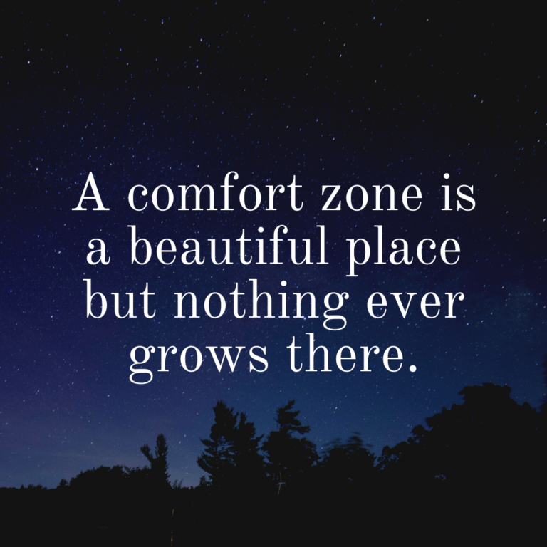 Read more about the article A comfort zone is a beautiful place, but nothing ever grows there.