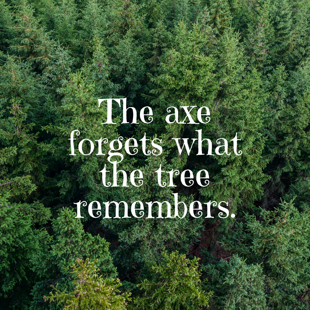 You are currently viewing The axe forgets what the tree remembers.