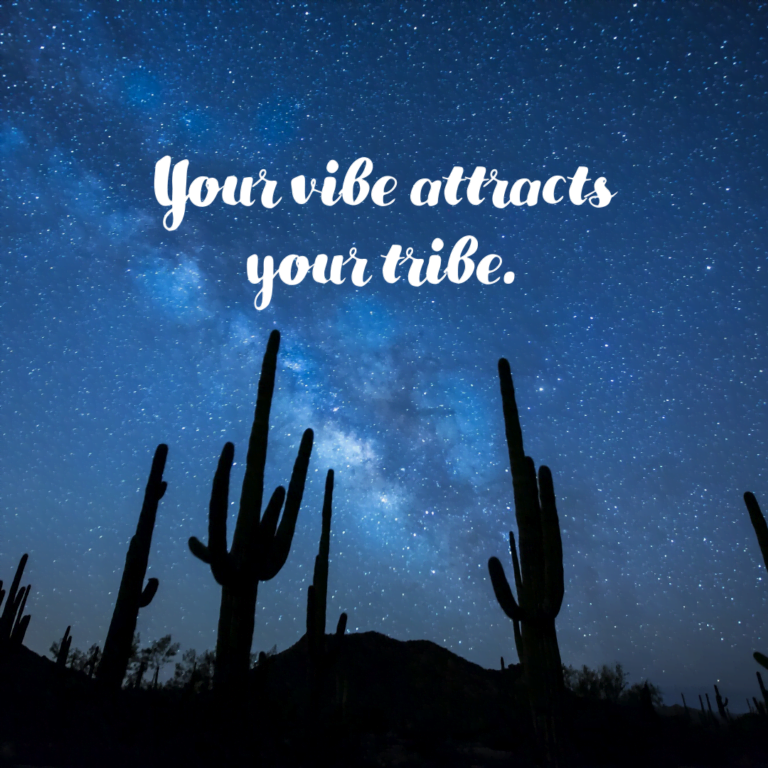 Read more about the article Your vibe attracts your tribe.