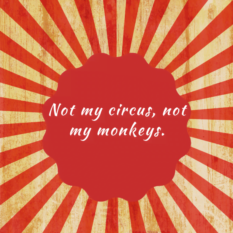 Read more about the article Not my circus, not my monkeys.