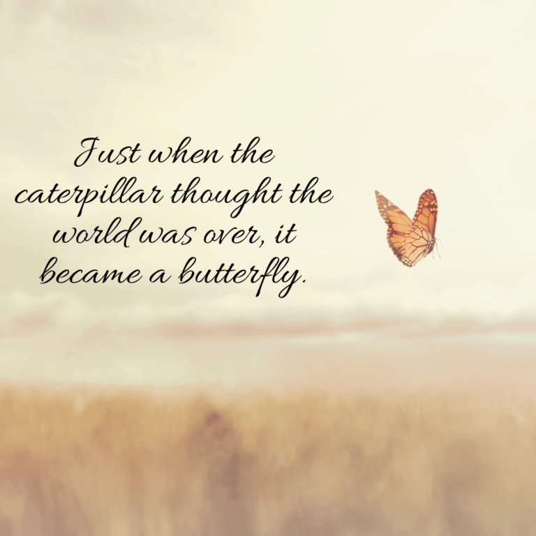 Read more about the article Just when the caterpillar thought that the world was over, it became a butterfly.