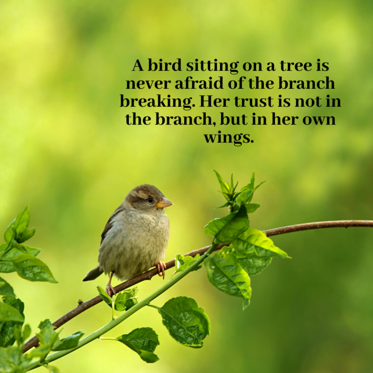 Read more about the article A bird sitting on a tree is never afraid of the branch breaking. Her trust is not in the branch, but in her own wings.