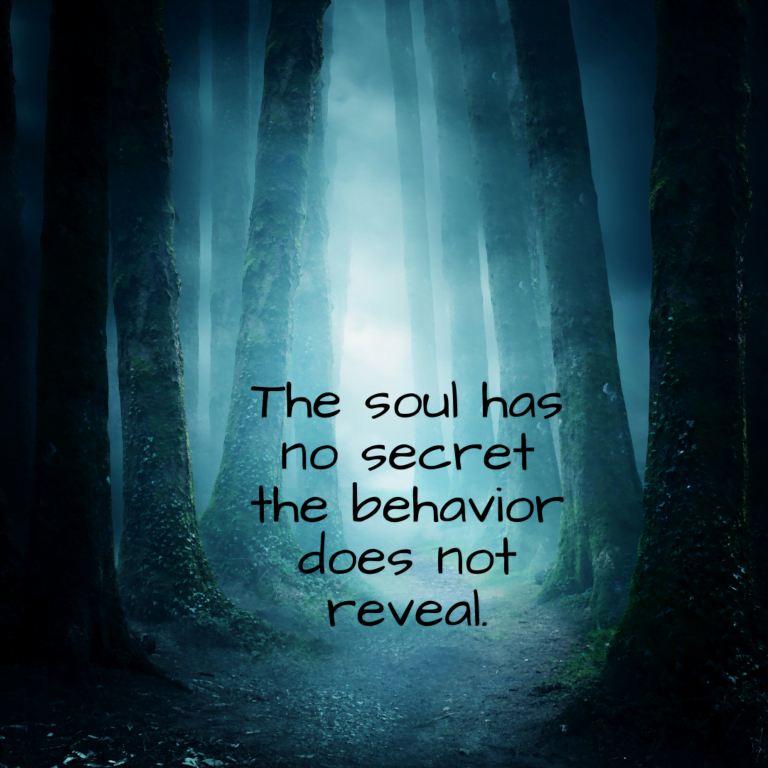 Read more about the article The soul has no secret the behavior does not reveal.