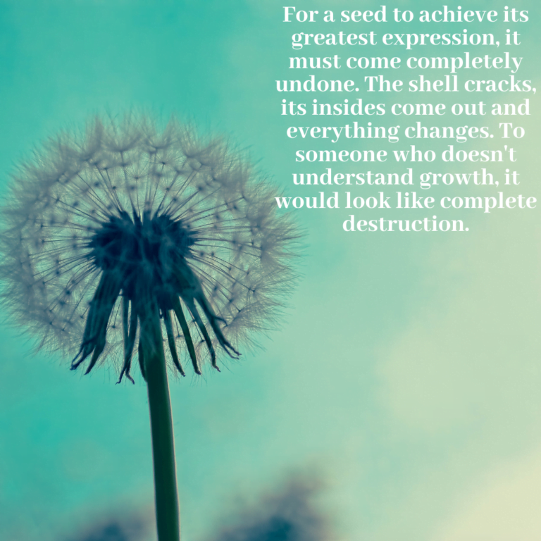 Read more about the article For a seed to achieve its greatest expression, it must come completely undone. The shell cracks, its insides come out and everything changes. To someone who doesn’t understand growth, it would look like complete destruction.
