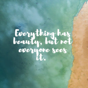Read more about the article Everything has beauty, but not everyone sees it.
