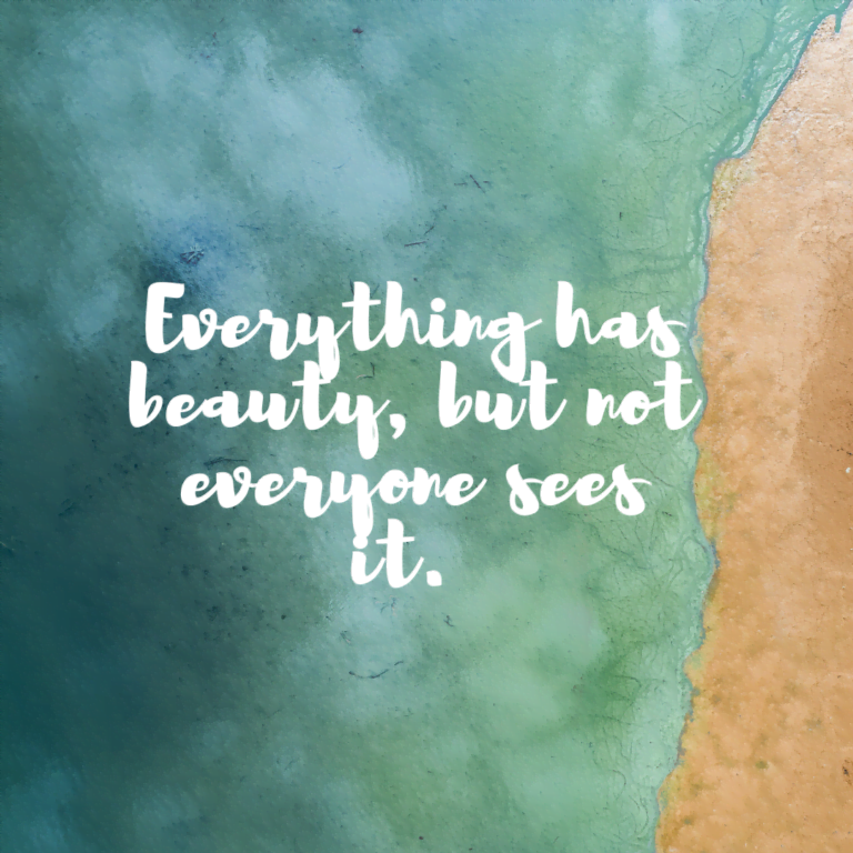 Read more about the article Everything has beauty, but not everyone sees it.