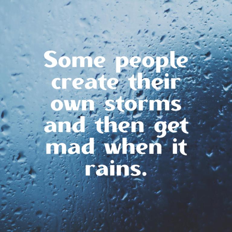 Read more about the article Some people create their own storms and then they get mad when it rains.