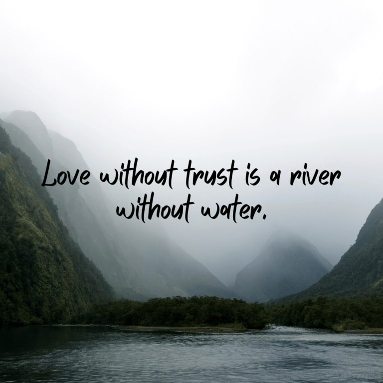 Read more about the article Love without trust is a river without water.