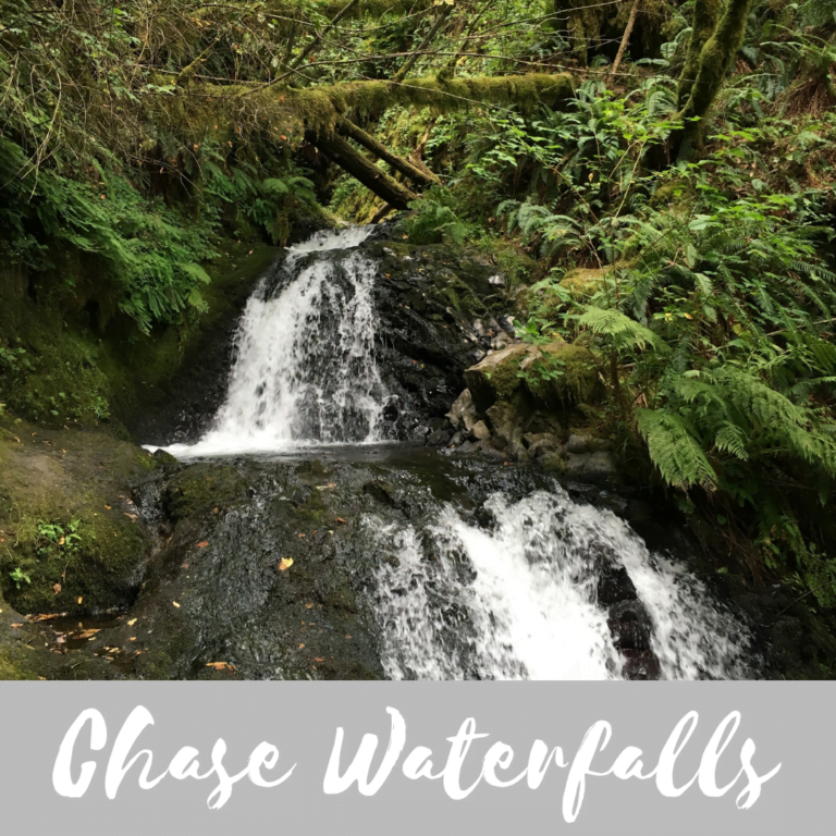 Read more about the article Go Chasing Waterfalls