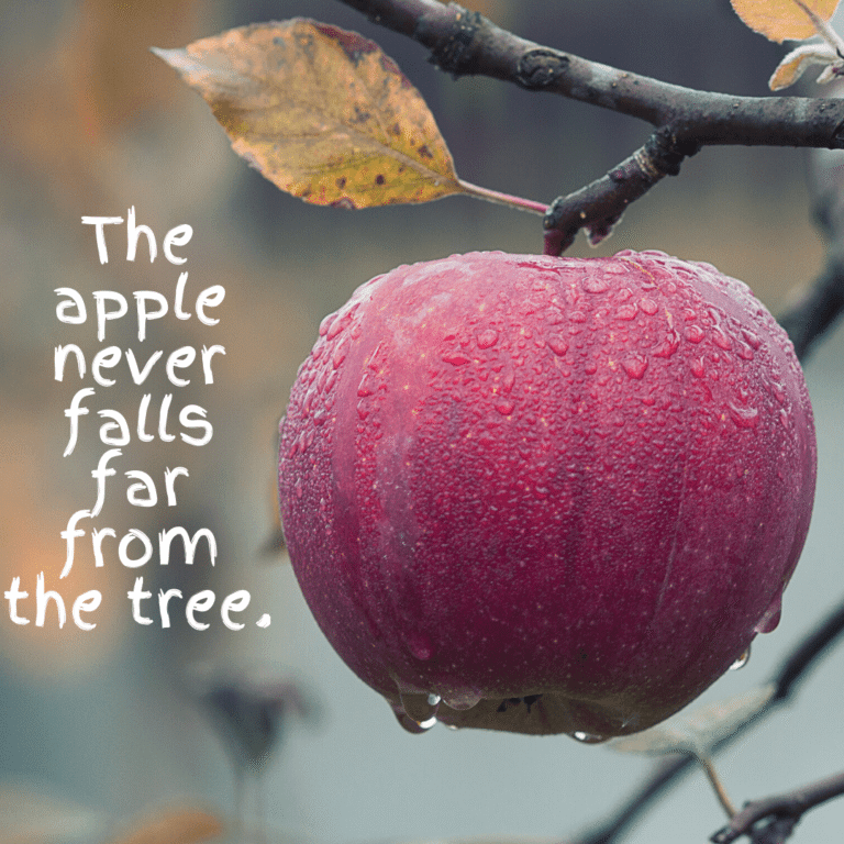 Read more about the article The apple never falls far from the tree.