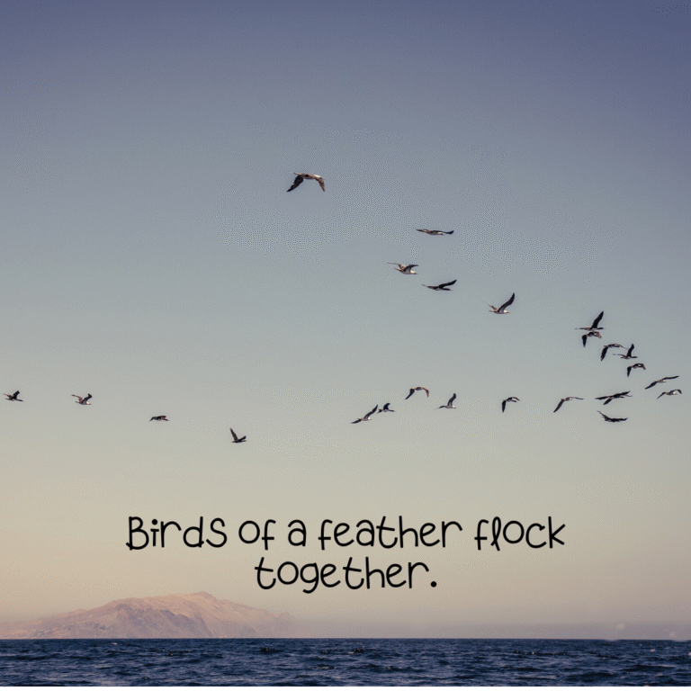 Read more about the article Birds of a feather flock together.