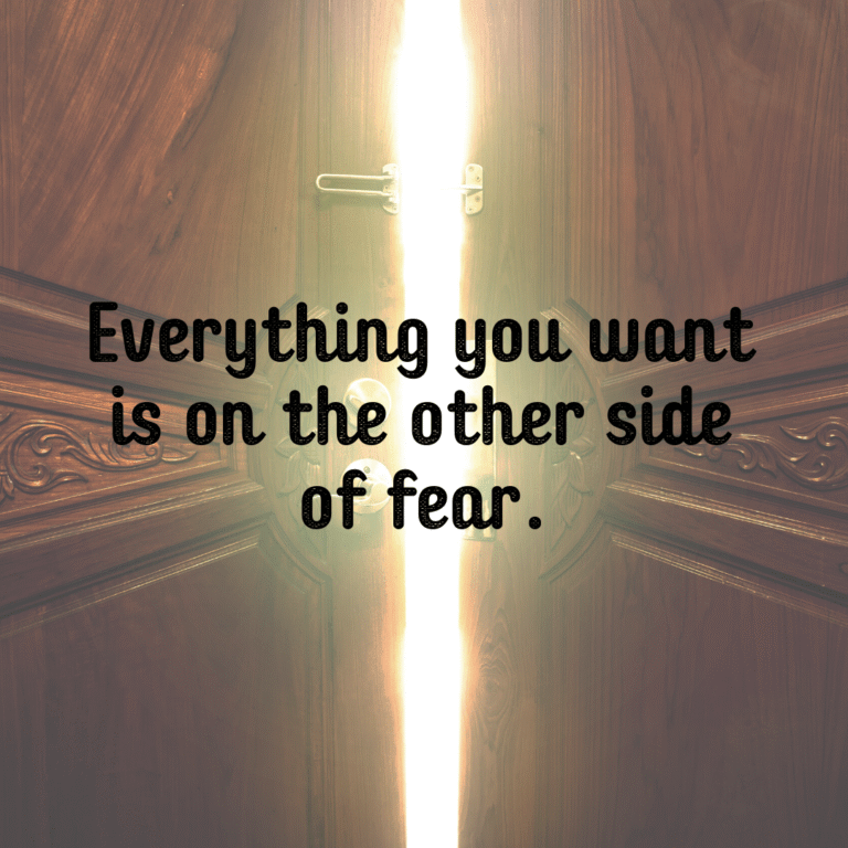 Read more about the article Everything you want is on the other side of fear.