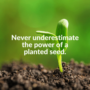 Read more about the article Never underestimate the power of a planted seed.