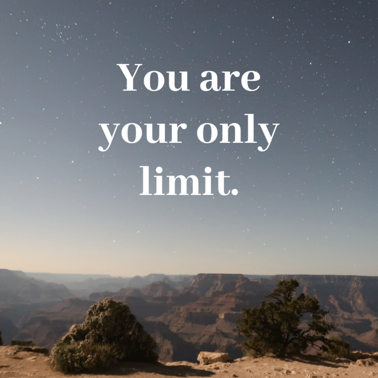 Read more about the article You are your only limit.