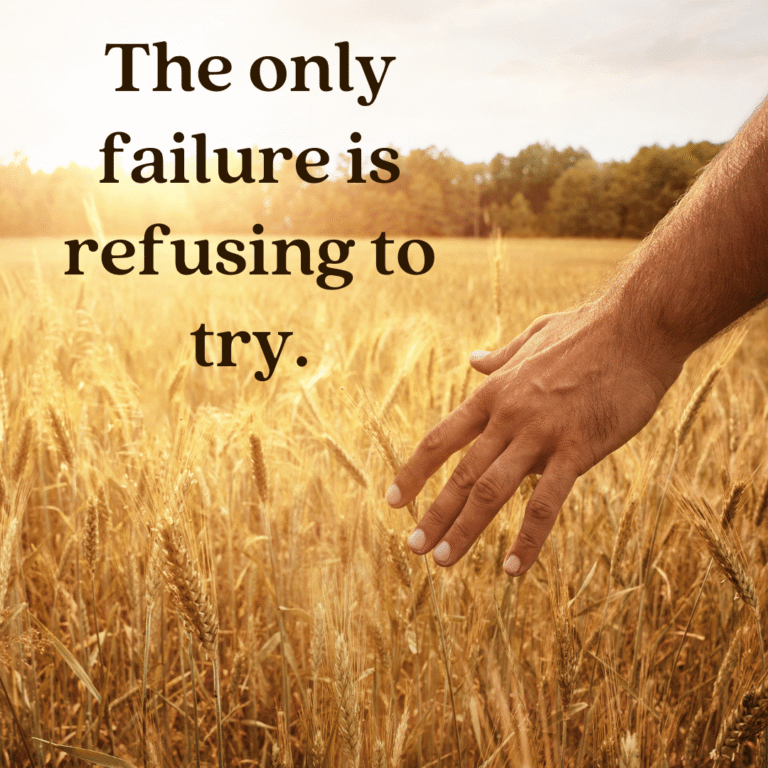 Read more about the article The only failure is refusing to try.