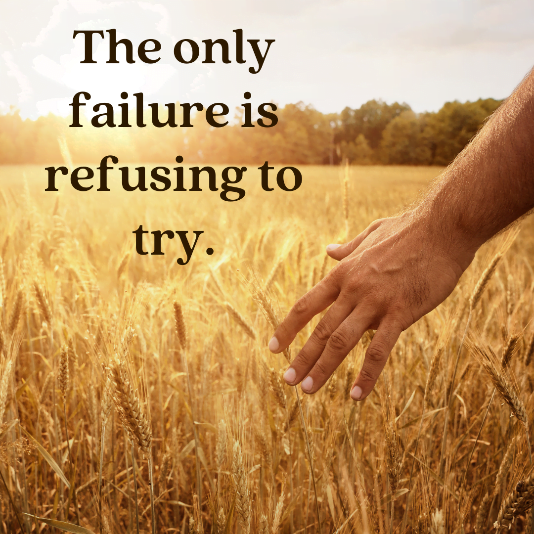 You are currently viewing The only failure is refusing to try.