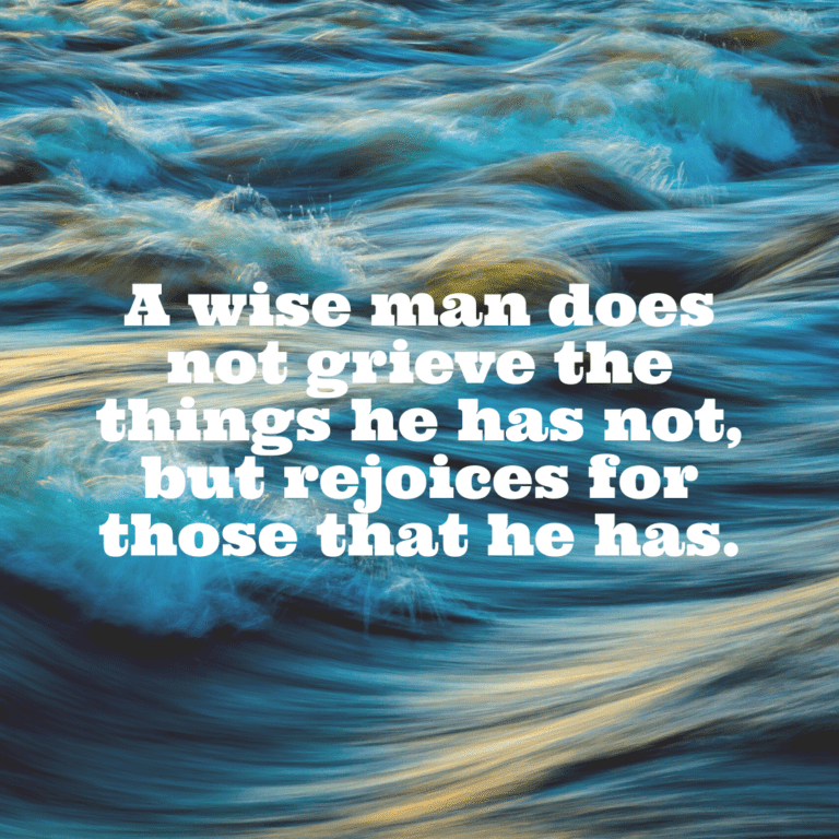 Read more about the article A wise man does not grieve the things he has not, but rejoices for those that he has.