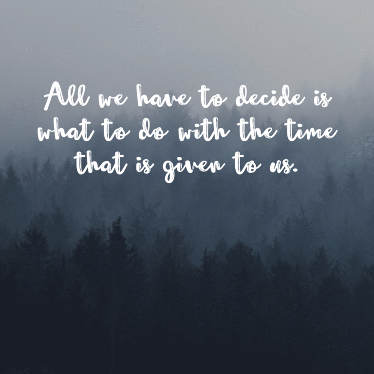 Read more about the article All we have to decide is what to do with the time that is given to us.