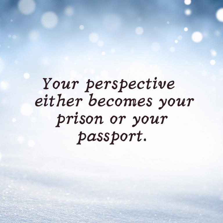 Read more about the article Your perspective either becomes your prison or your passport.