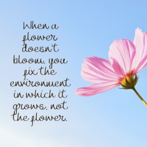 Read more about the article When a flower doesn’t bloom, you fix the environment in which it grows, not the flower.