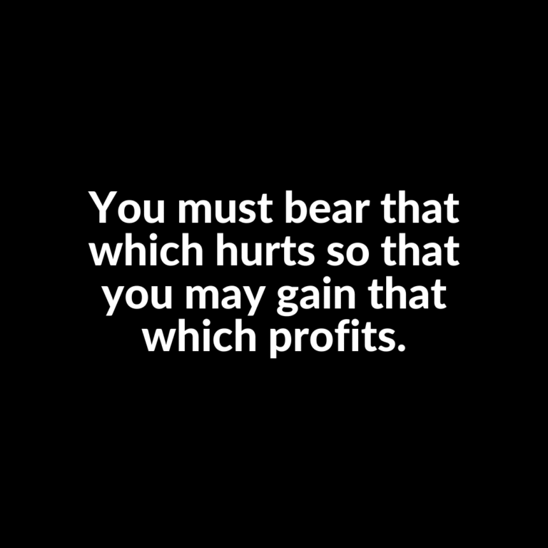 Read more about the article You must bear that which hurts so that you may gain that which profits.