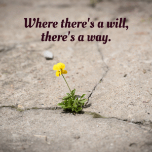 Read more about the article Where there’s a will, there’s a way.