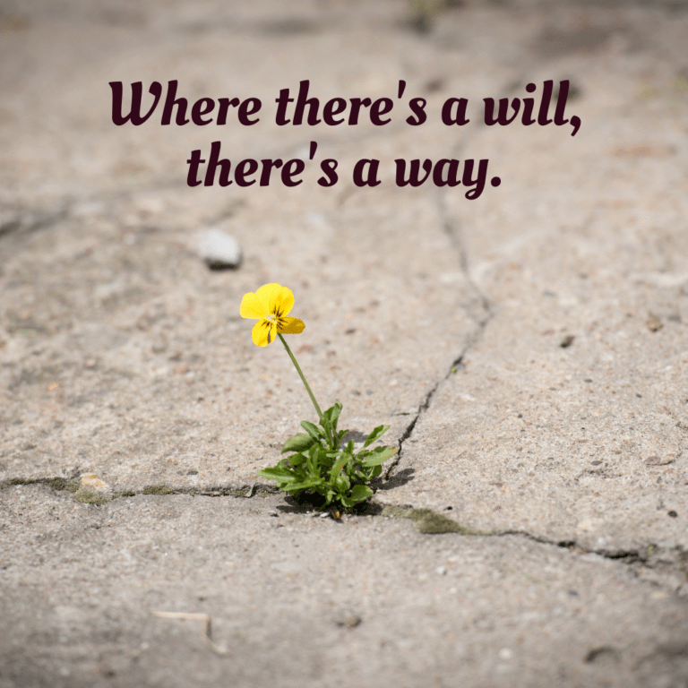 Read more about the article Where there’s a will, there’s a way.