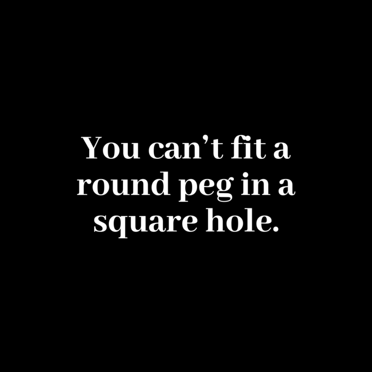 Read more about the article You can’t fit a round peg in a square hole.