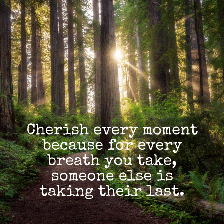 Read more about the article Cherish every moment because for every breath you take, someone else is taking their last.