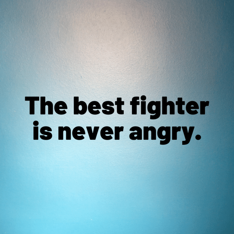 Read more about the article The best fighter is never angry.