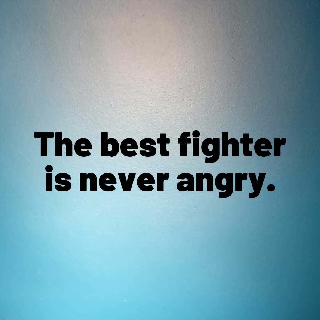 You are currently viewing The best fighter is never angry.