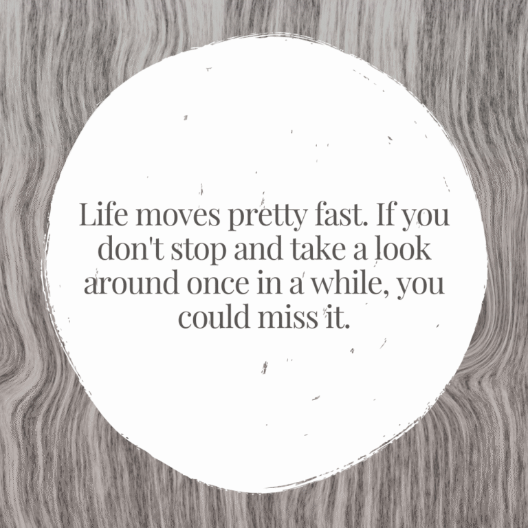 Read more about the article Life moves pretty fast. If you don’t stop and take a look around once in a while, you could miss it.