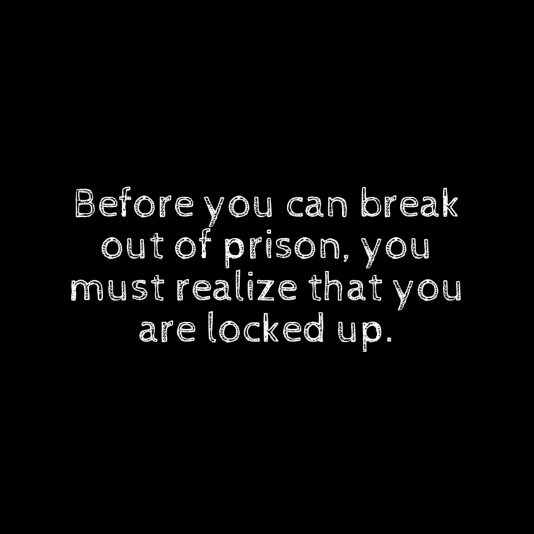 Read more about the article Before you can break out of prison, you must realize that you are locked up.