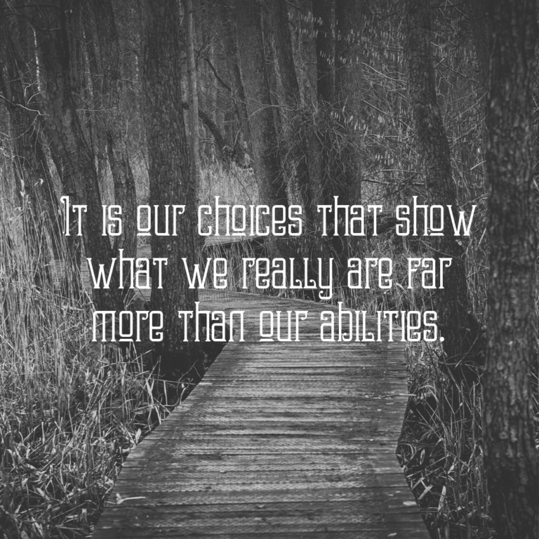 Read more about the article It is our choices that show what we really are far more than our abilities.