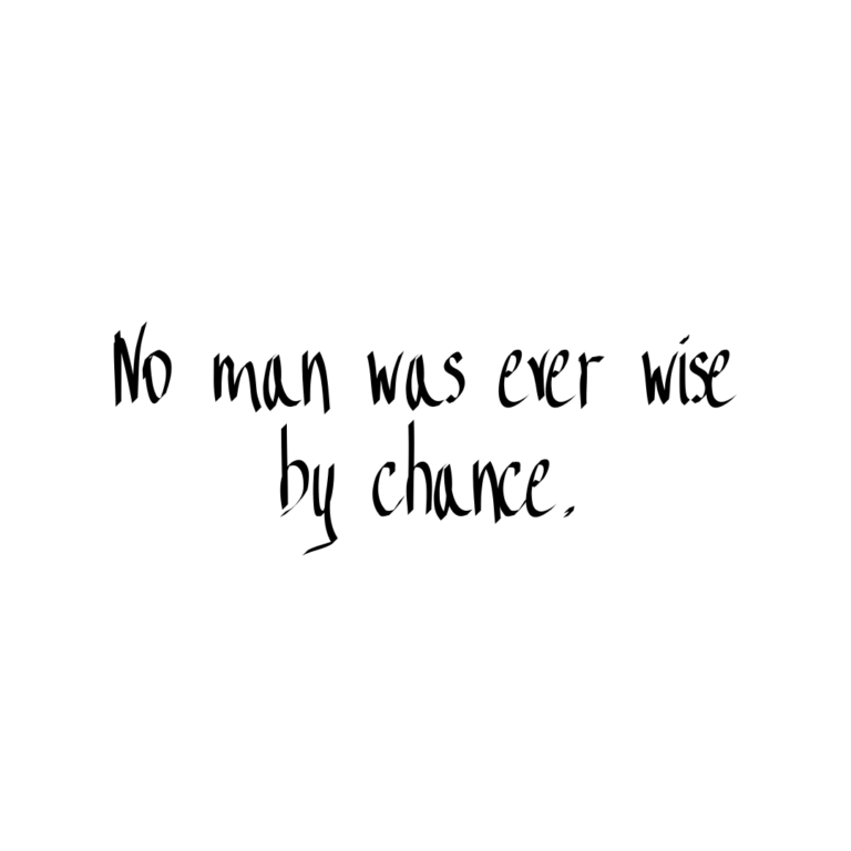 Read more about the article No man was ever wise by chance.