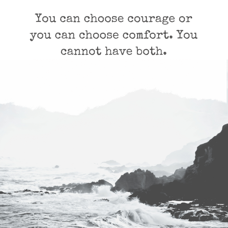 Read more about the article You can choose courage or you can choose comfort. You cannot have both.