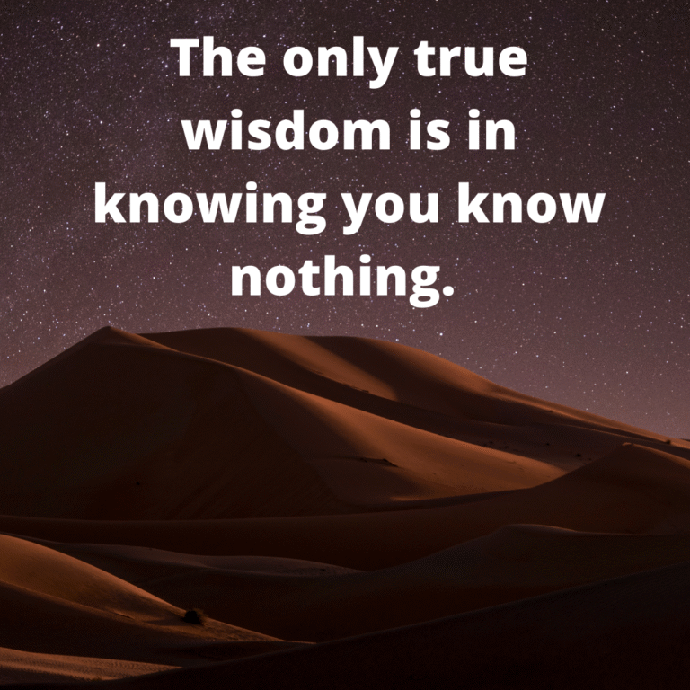 Read more about the article The only true wisdom is in knowing you know nothing.