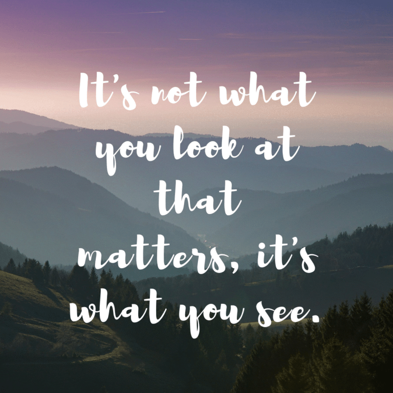 Read more about the article It’s not what you look at that matters, it’s what you see.