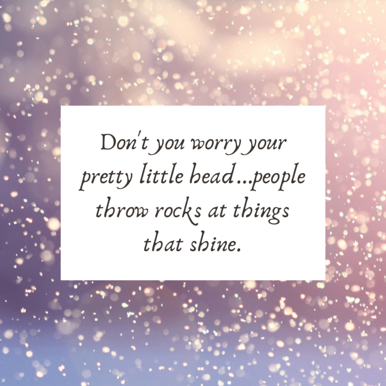 Read more about the article Don’t you worry your pretty little head…people throw rocks at things that shine.